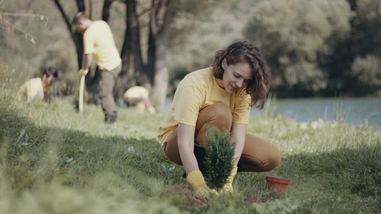 Best Tree Maintenance Programs  in Alice, TX